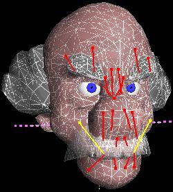 face model showing mesh lines and defined muscles
